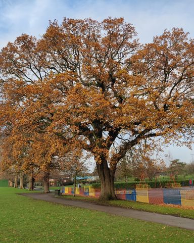 cartoon image of children with magnifying glass and bugs