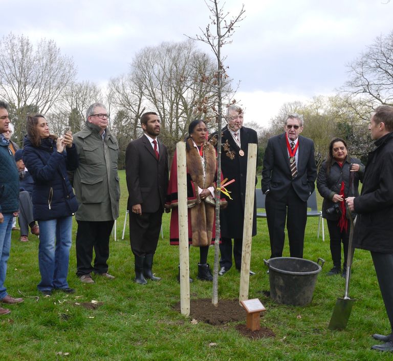 The council planting party standing behind the jubilee oak tree
